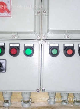 防爆型控制箱DKXB-G