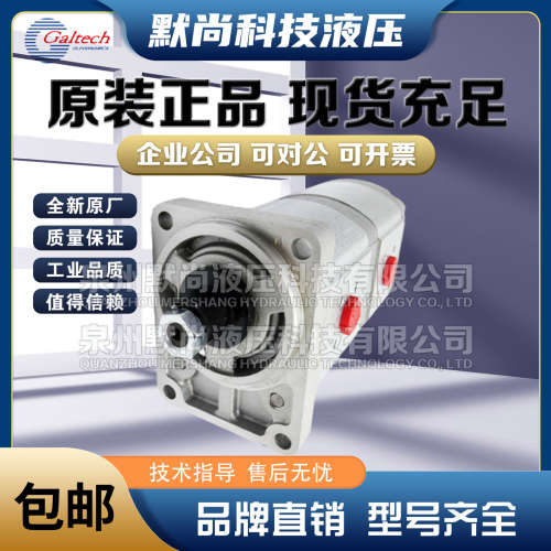 高泰克Galtech齿轮马达2SM-G-140-D-EUR-H-N-10-G齿轮泵 液压马达