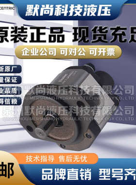 德国CONCENTRIC齿轮泵WP09A1 1802258 WP09A1B 180202018A 液压泵