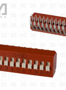 BD10AV【DIP开关】SWITCH SLIDE DIP SPST 100MA 5V