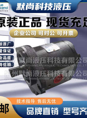 土耳其BLUE ASCEND齿轮泵DKP20.115 DKP20.140 DKP20.160液压油泵