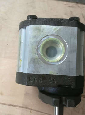 03ZBG25B364AS +02ZAG110035PS意大利 RONZIO罗茨 齿轮泵 正品 现