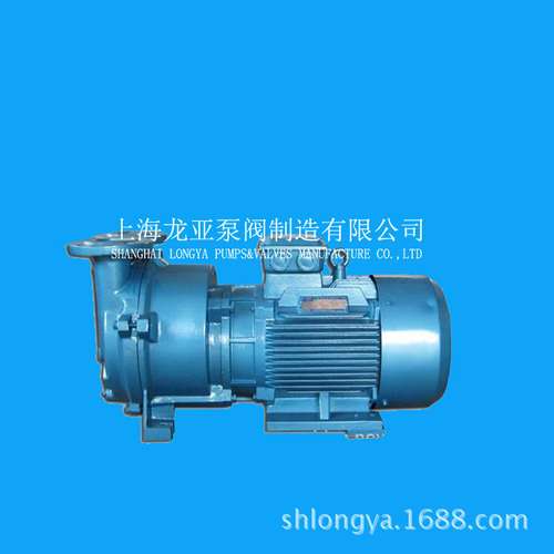 2BV5111-0KC单级抽气泵浦 反应罐中抽吸泵 真空结晶、蒸馏真空泵