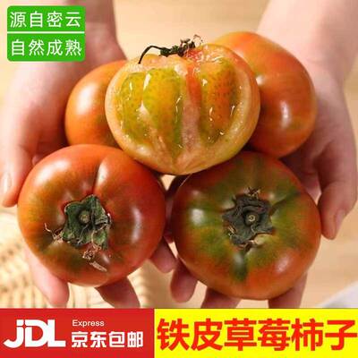 密云水源地铁皮柿子草莓西红柿