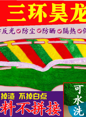 三环昊龙内饰配件专用仪表台草坪