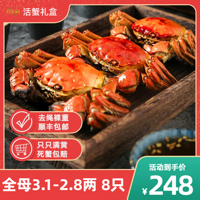 活蟹大闸蟹特大全母3.1-2.8两8只阳澄鲜活螃蟹大闸湖蟹现货礼盒怎么看?