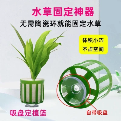 水草固定环吸盘定植篮三件套水草定植绵大号定植篮鱼缸造景养草杯