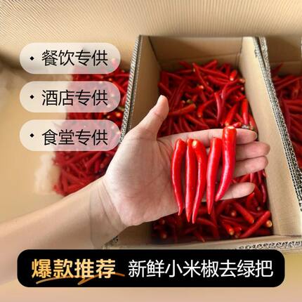 农家自种无把小米辣新鲜现摘朝天椒红辣椒酒店宾馆大型食堂专用
