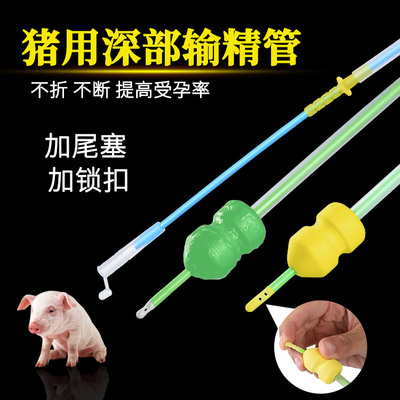 人工授精深入涂油软头输精管