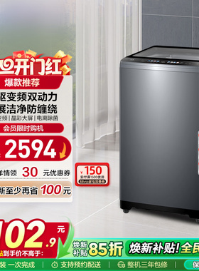 【双动力】海尔波轮洗衣机10kg大容量家用全自动直驱除菌659