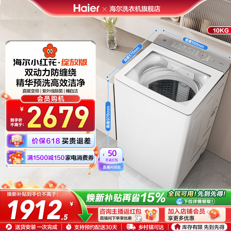 海尔小红花波轮双动力精华洗10kg大容量家用全自动洗衣机73M