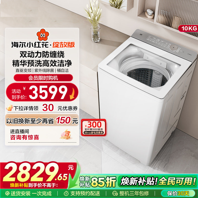 海尔小红花波轮双动力精华洗10kg大容量家用全自动洗衣机73M