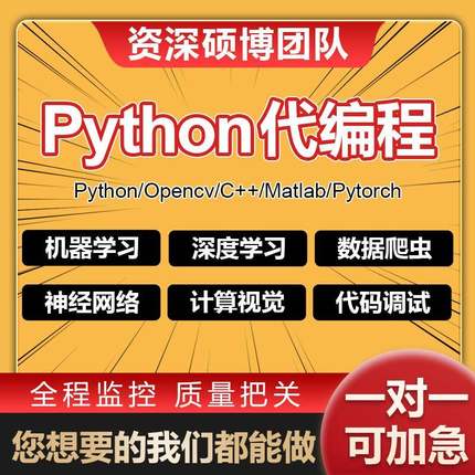 python深度学习算法cv代做跑编程序接单服务指导代码调试编写爬虫