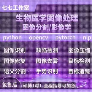 Python代码医学图像分割视觉深度学习语义分割检测图像分类帮做