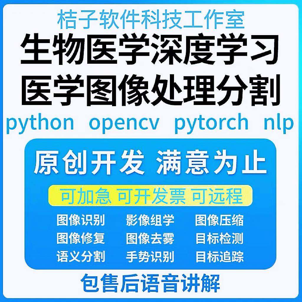Python代编医学图像分割深度学习语义分割计算机视觉生成对抗网络