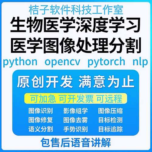 Python代编医学图像分割深度学习语义分割计算机视觉生成对抗网络