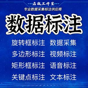 目标检测缺陷检测YOLO数据集制作深度学习语义分割3D标注数据处理