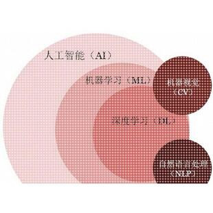 yolov8代做yolo代做目标检测yolo代码yolov11计算机视觉项目