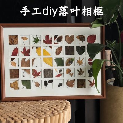 落叶树叶标本相框手工diy秋天叶子收集48宫格画框装饰画桌面摆件