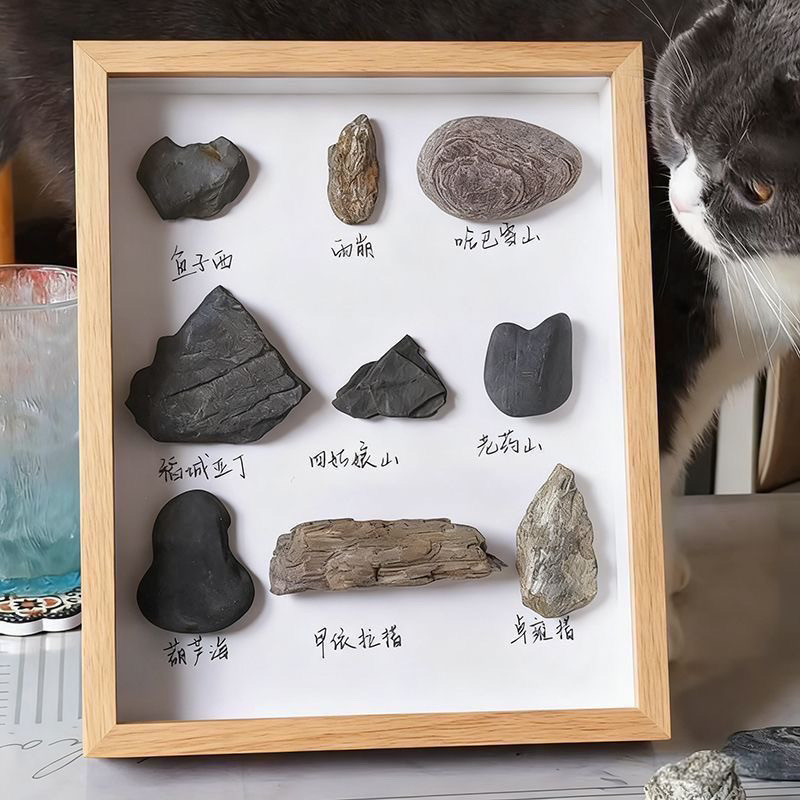 石头收纳DIY手工收藏相框旅游纪念亲子大自然情侣中空立体展示框