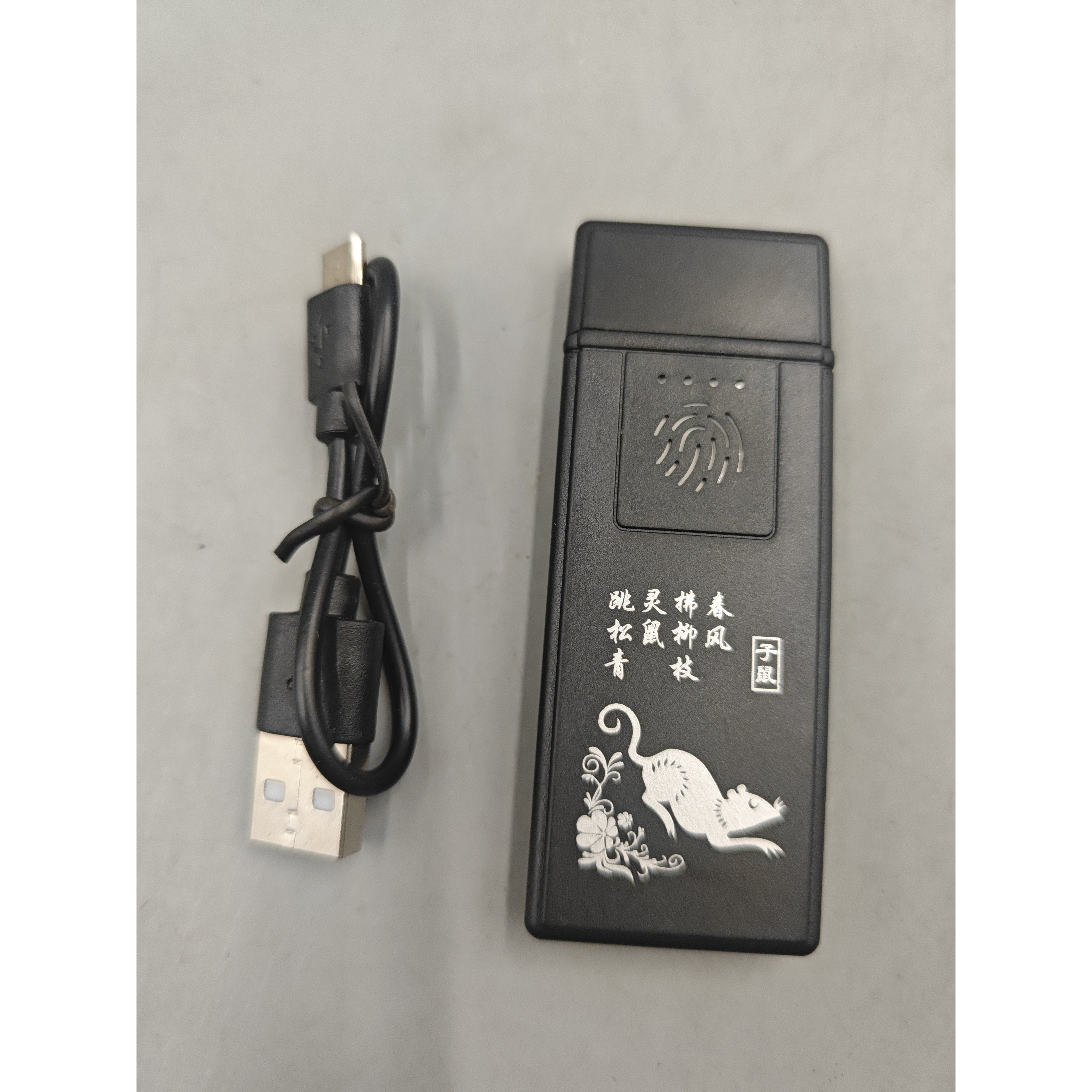 十二生肖高颜值防风打火机充电式便携轻薄高科技送礼物潮流个性