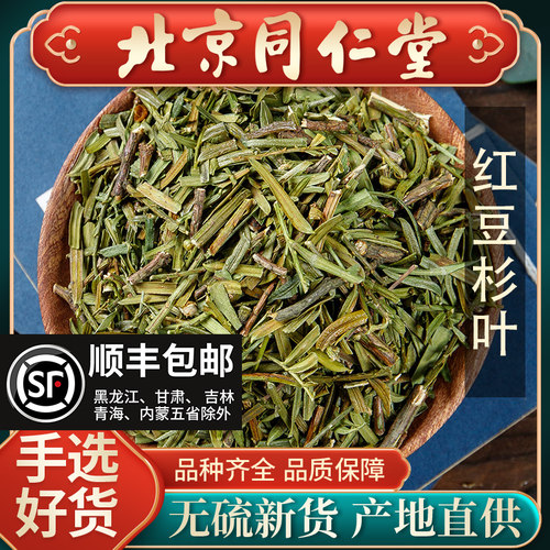 同仁堂 正品红豆杉叶中药材500g豆杉叶子含紫彬醇 另有红豆杉树皮