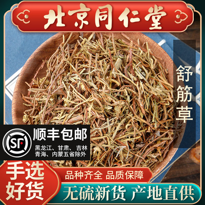 野生舒筋草中药材泡水泡脚