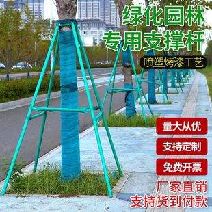镀锌钢管树木支撑架工程专用苗木园林绿化防风大树支撑杆树撑大杆