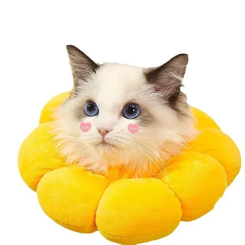 头套除跳蚤猫项圈伊丽莎白圈英短防舔狗脖圈宠物用品猫咪颈圈
