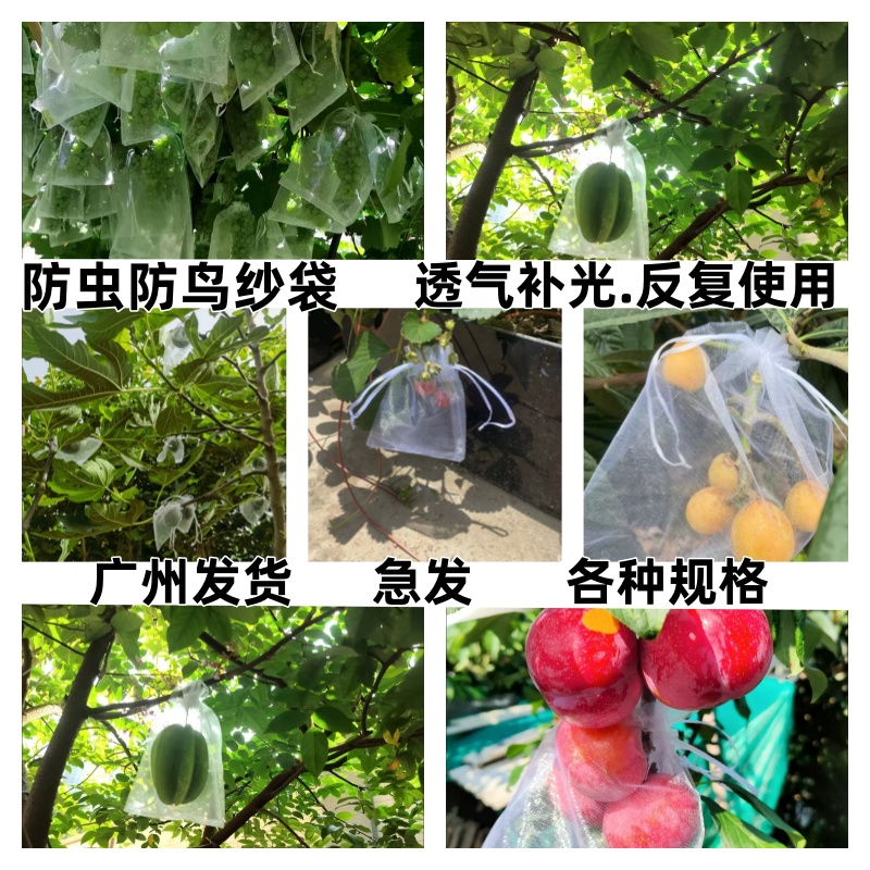 水果防虫果子防鸟保护草莓袋网袋透气蓝莓番茄葡萄无花果防虫网袋