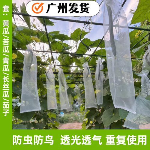 蔬果套袋瓜果丝瓜苦瓜黄瓜网袋
