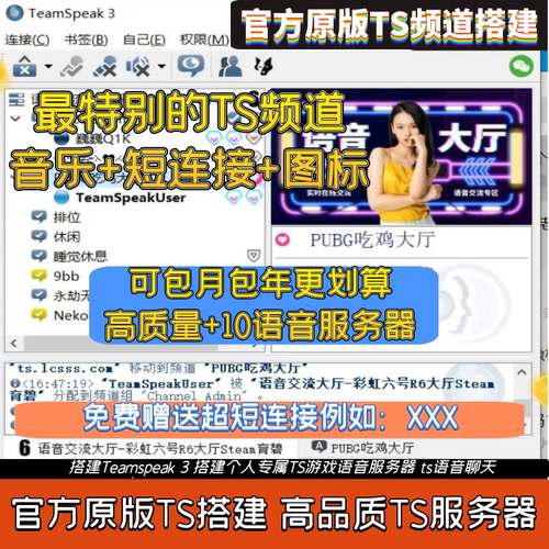 ts语音频道连接账号地址 teamspeak3搭建  ts 团队专属服务器