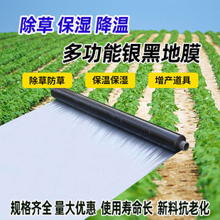 农用加厚银黑双色反光地膜果树玉米瓜果辣椒除草膜除蚜虫银光膜