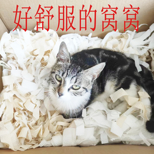 木浆纸边料纸棉幼宠物金丝雀仓鼠窝窝垫纸吸水尿除臭四季通用垫窝