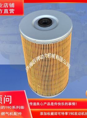 12vb.10.30 a配济柴6190/8190ZLD保养配件12v190柴燃油滤芯滤清器