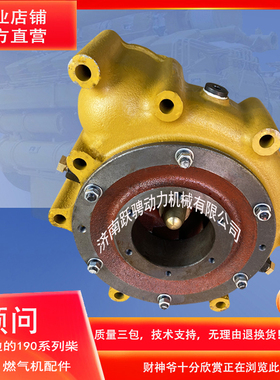 匹配驰动8v190b 济南12vb.22.00b济柴190发电机组柴油机冷却水泵