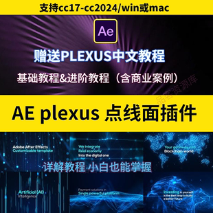 MAC苹果 Plexus插件AE点线面插件三维插件2024Plexus教程支持WIN