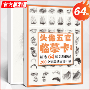 人物肖像卡片高清精微创意画单体书籍结构图国美初级照片画册本基础书入门图片教材教学美术几何体静物练习 素描头像五官临摹卡