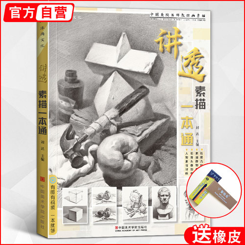讲透素描一本通基础教程入门