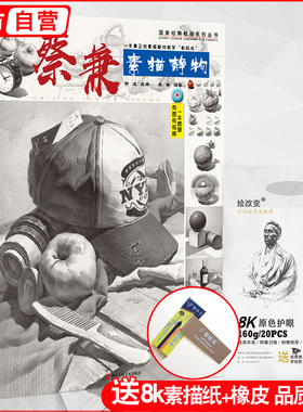 蔡兼素描静物 石膏几何体绘画石膏像单体组合结构照片临摹范本水果基础入门学画册本教程经典画高考联考一本通美术书籍教学教材书