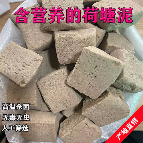 优质塘泥干荷花塘泥土兰花盆栽碗莲睡莲水培营养土河泥河塘泥淤泥