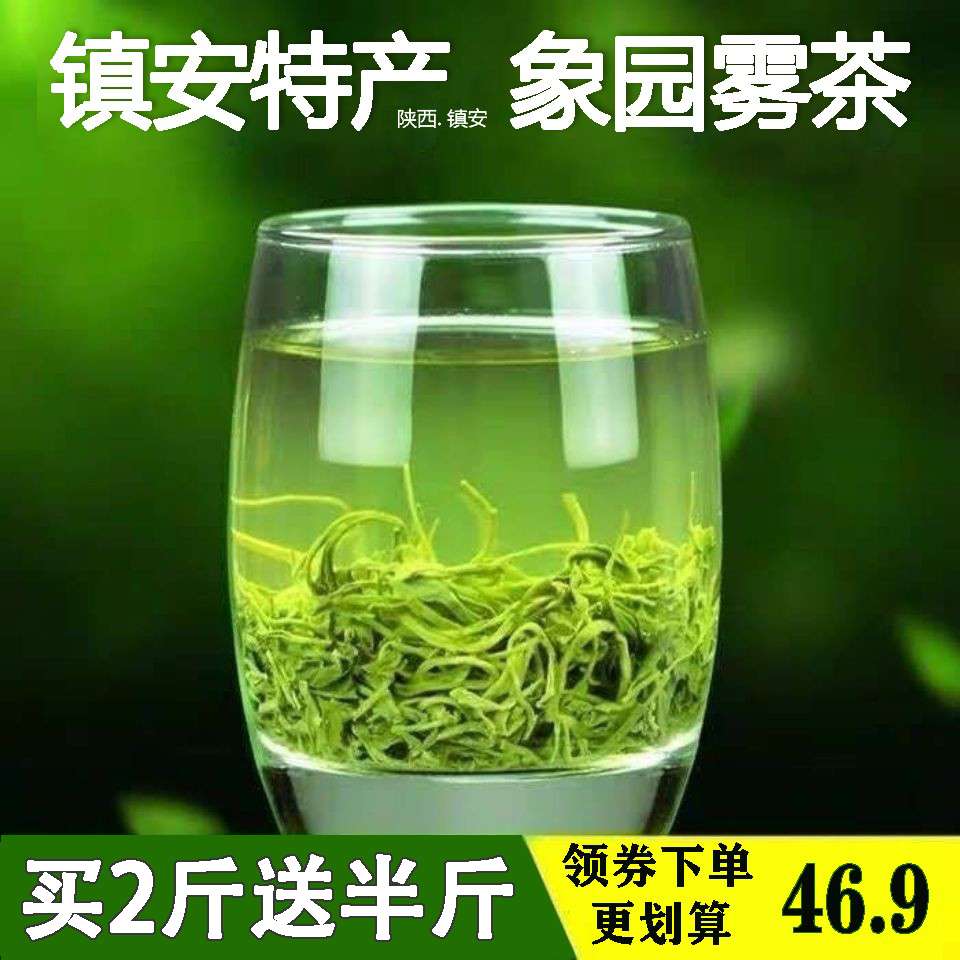 特级绿茶2022新茶叶陕西镇安特产象园茶炒青明后春茶碧螺春250g袋