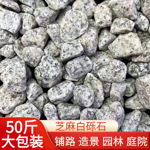 50斤黑白点芝麻灰鹅卵石花岗岩黑色碎石子芝麻白色石子枯山水造景