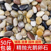 50斤鹅卵石铺路铺地庭院园林造景天然大小石头雨花石原石鹅软暖石