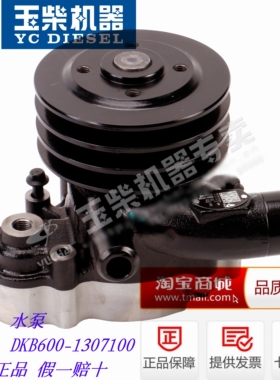 玉柴4DK发动机原厂水泵DKB600-1307100客货车工程机械原厂水泵