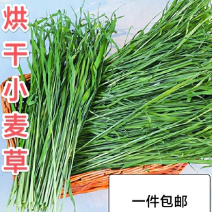 25年新烘干小麦草兔子荷兰猪龙猫鼠动物饲料牧草粮毛重1000克包邮