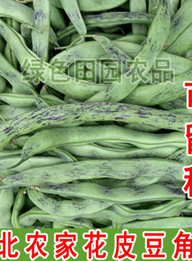 东北农家花皮豆角籽 散装精选 菜园 花皮豆角籽50克