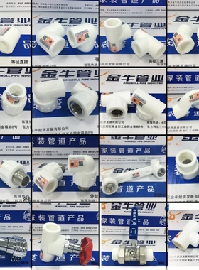金牛管业白色PPR冷热水管配件6分25家装热熔接头武汉三通内丝弯头