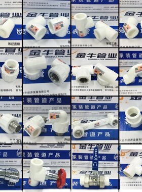 金牛管业白色PPR冷热水管配件6分25家装热熔接头武汉三通内丝弯头