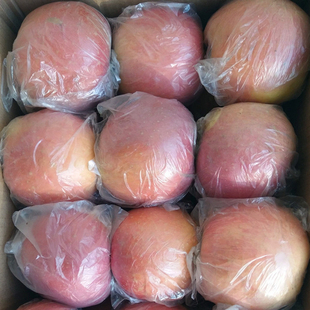 苹果水果徐州丰县大沙河苹果10斤带箱红富士冰糖心脆甜野生丑萍果